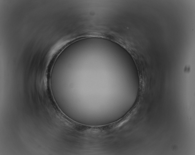 X0000092250294200710051304