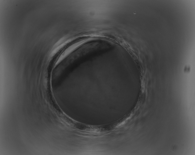 X0000092250295200710051304