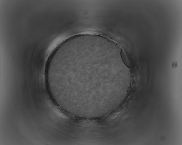 X0000092250296200710051304