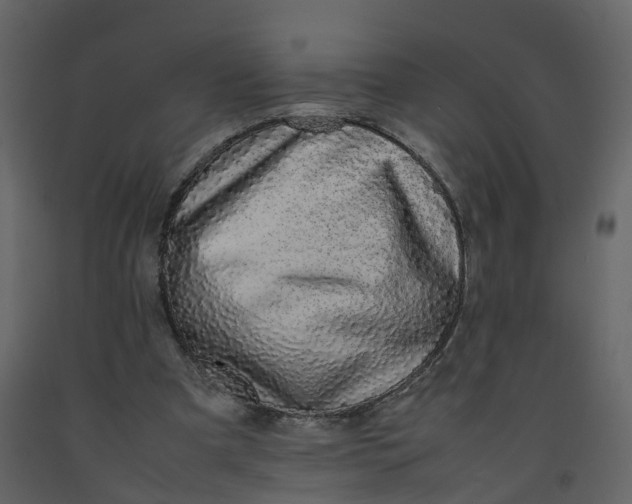 X0000092250297200710051304
