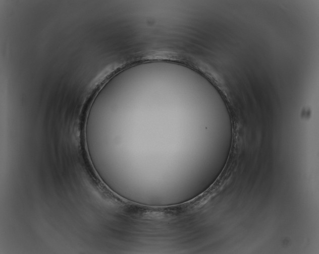 X0000092250298200710051304