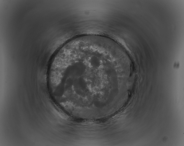 X0000092250299200710051304