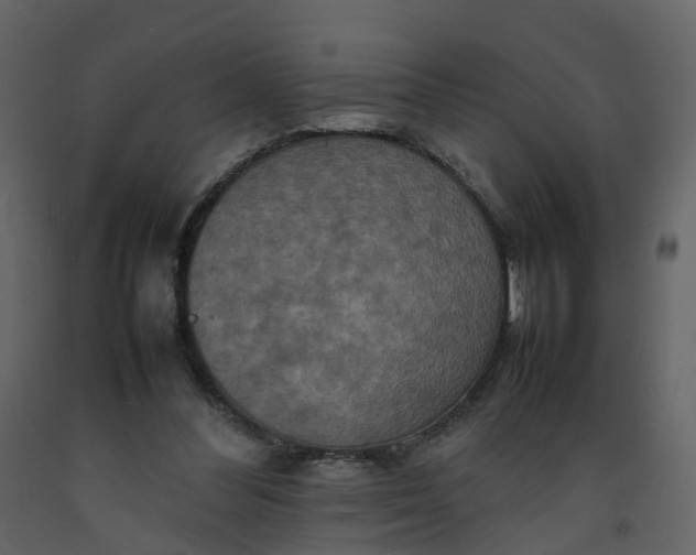 X0000092250300200710051304