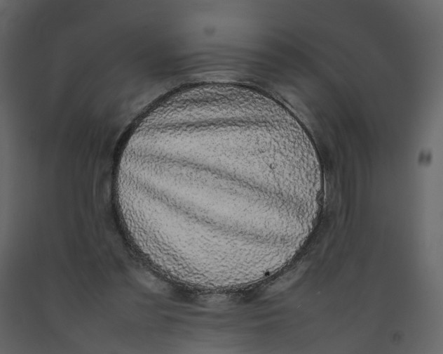 X0000092250301200710051304