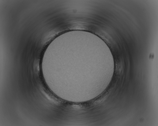X0000092250302200710051304