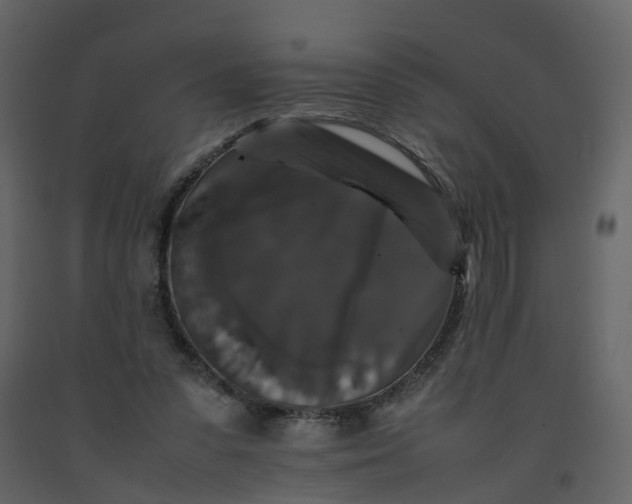 X0000092250303200710051304