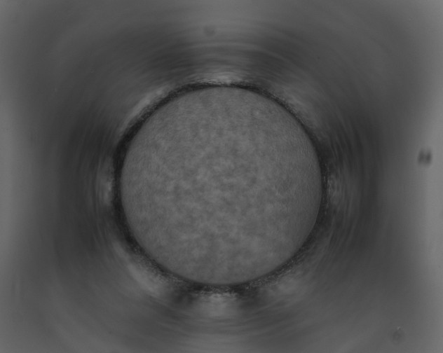 X0000092250304200710051304