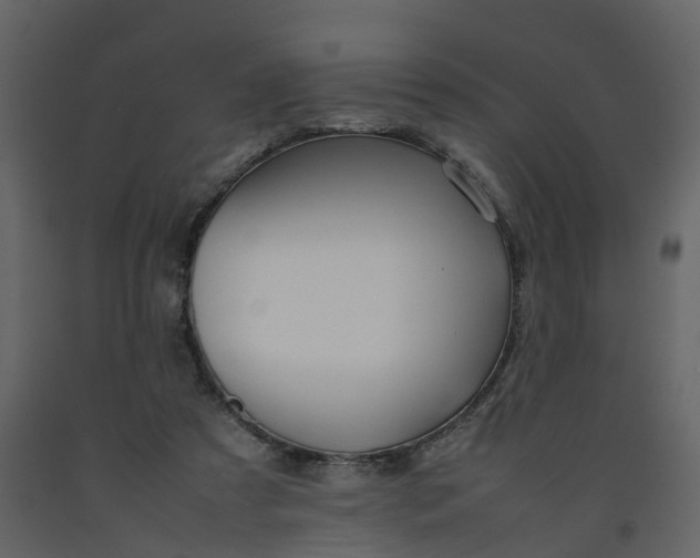 X0000092250305200710051304
