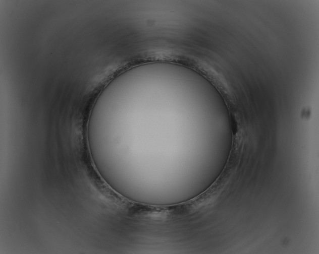X0000092250306200710051304