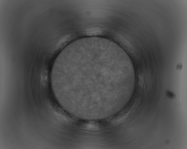 X0000092250308200710051304