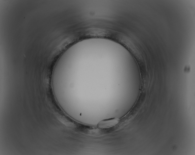 X0000092250309200710051304