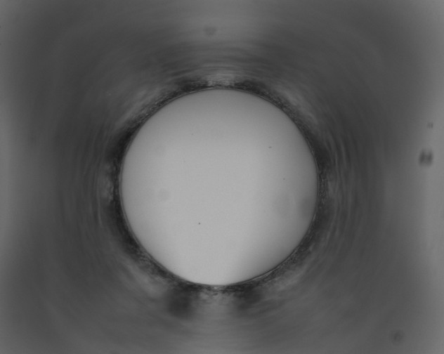 X0000092250311200710051304