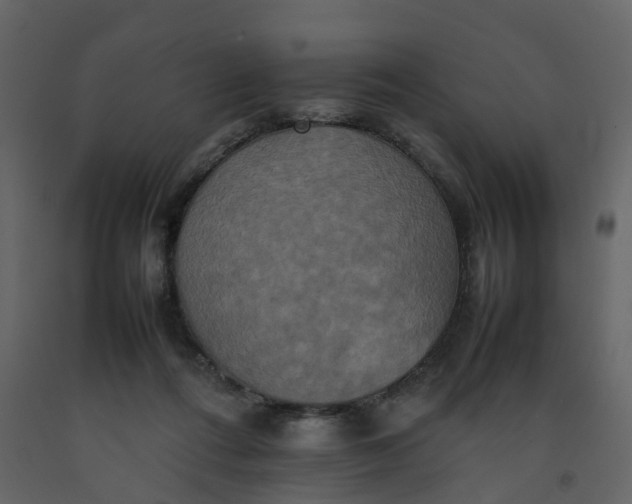 X0000092250312200710051304