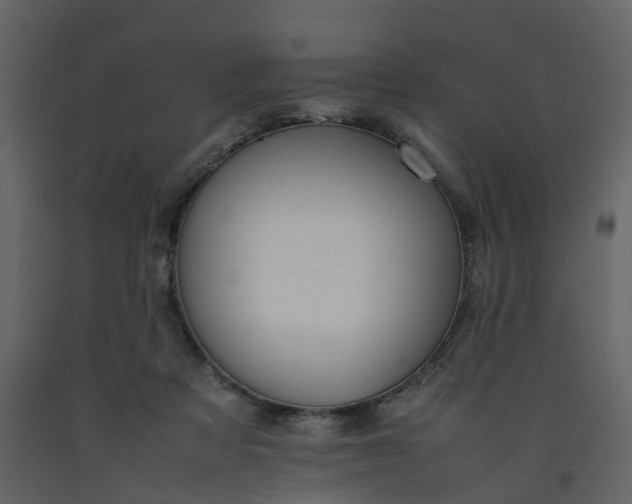 X0000092250313200710051304