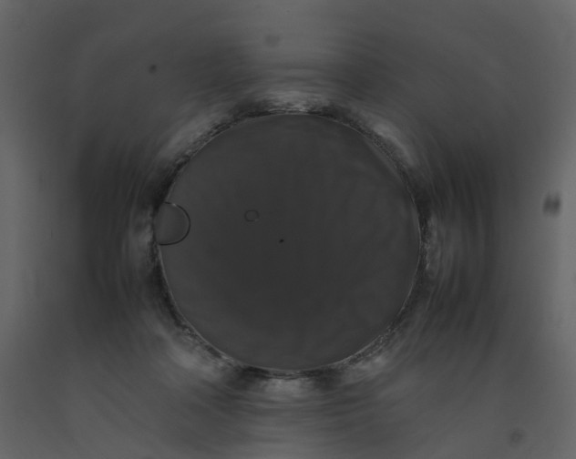 X0000092250314200710051304