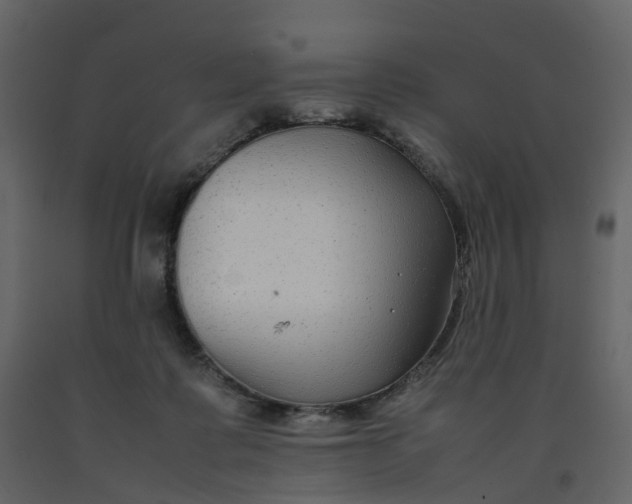 X0000092250315200710051304