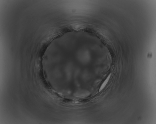X0000092250319200710051304