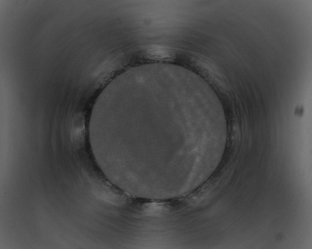 X0000092250320200710051304