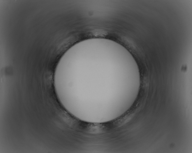 X0000092250321200710051304