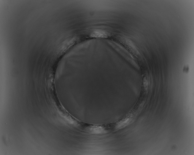 X0000092250322200710051304
