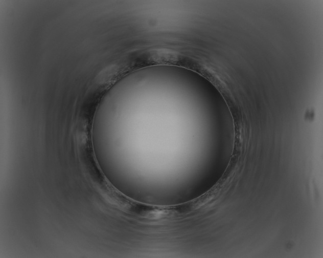 X0000092250323200710051304
