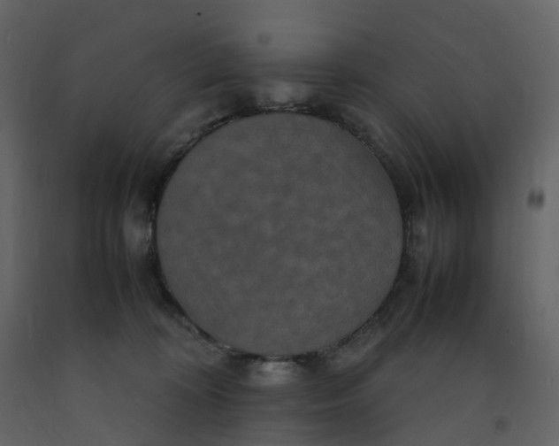 X0000092250324200710051304