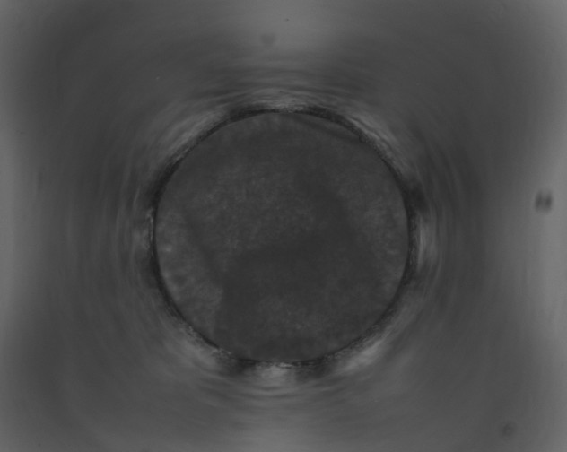 X0000092250325200710051304