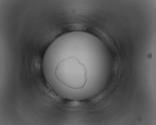 X0000092250326200710051304