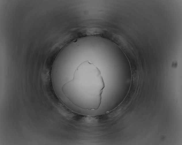 X0000092250327200710051304