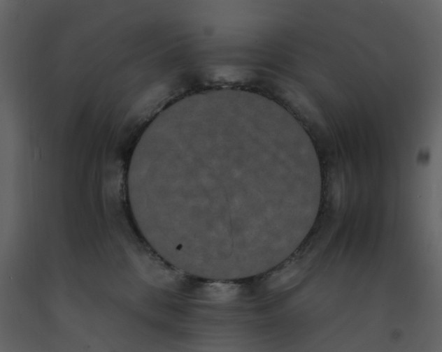 X0000092250328200710051304