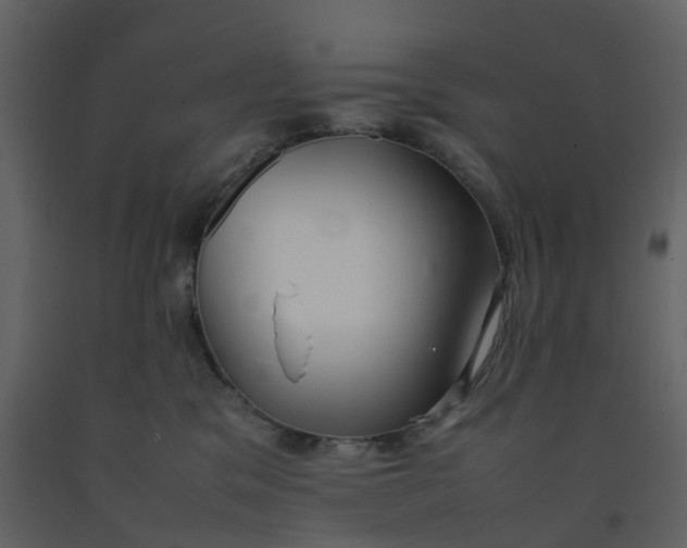 X0000092250329200710051304