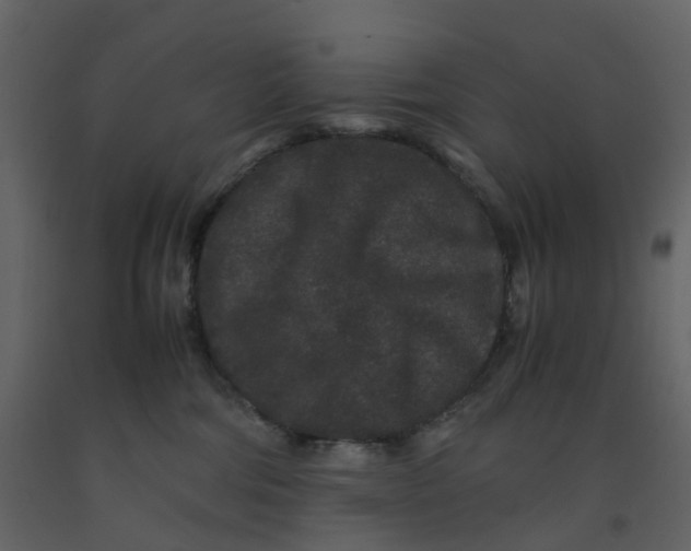 X0000092250330200710051304