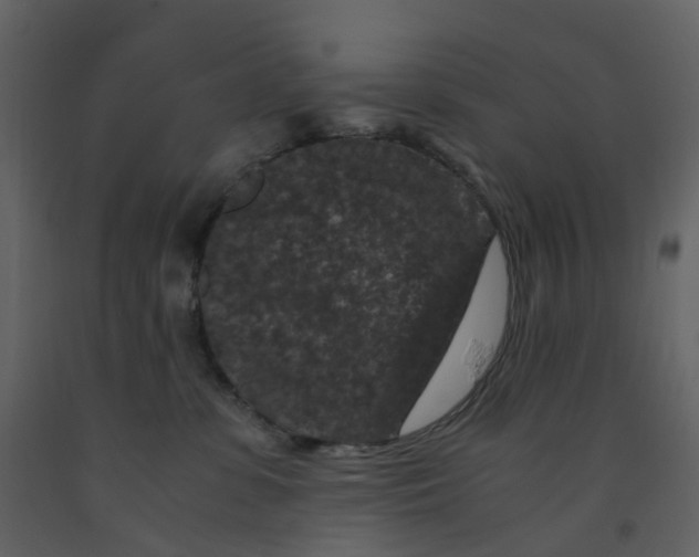 X0000092250331200710051304