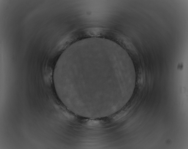 X0000092250332200710051304