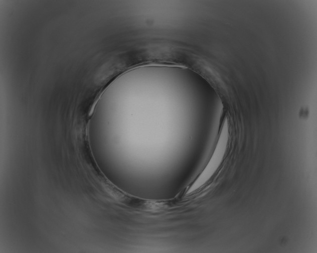 X0000092250333200710051304