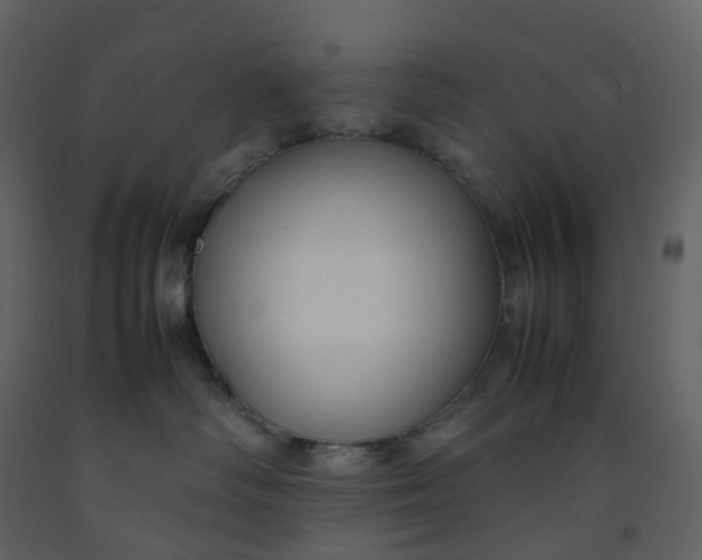 X0000092250334200710051304