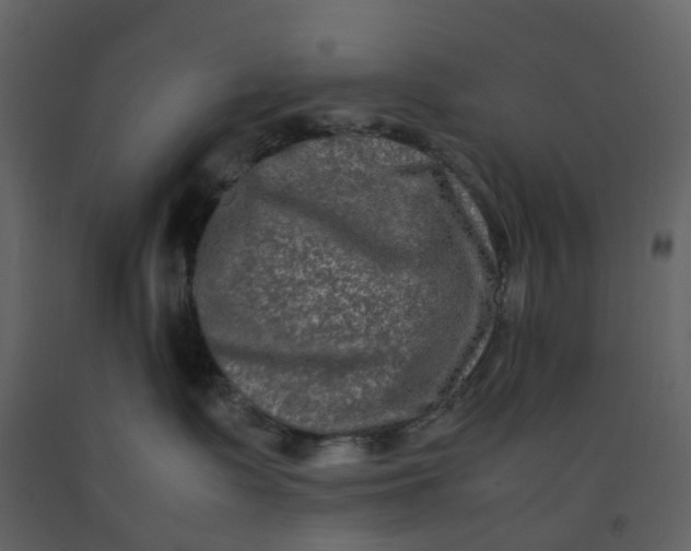 X0000092250335200710051304