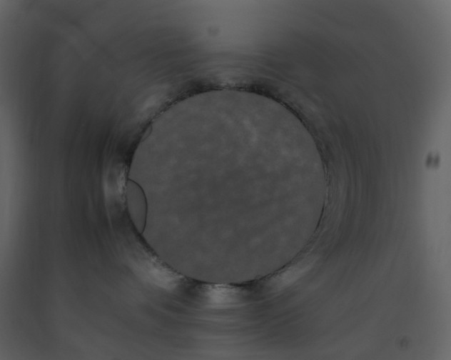 X0000092250336200710051304
