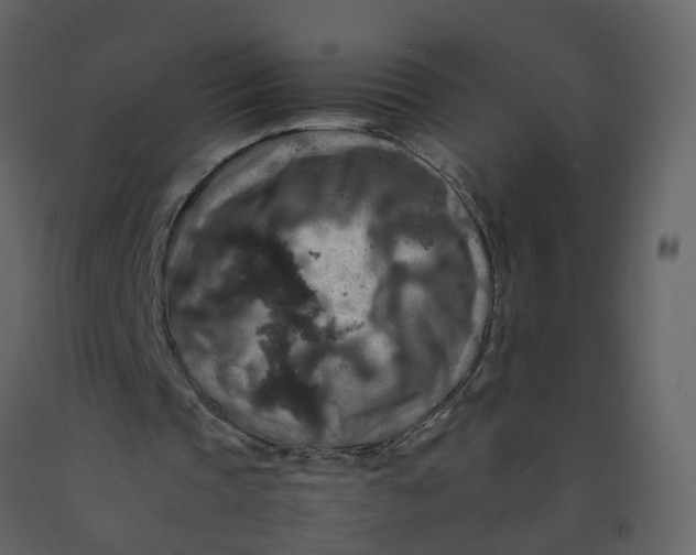 X0000092250337200710051303