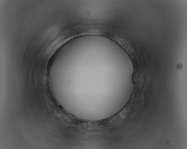 X0000092250338200710051303