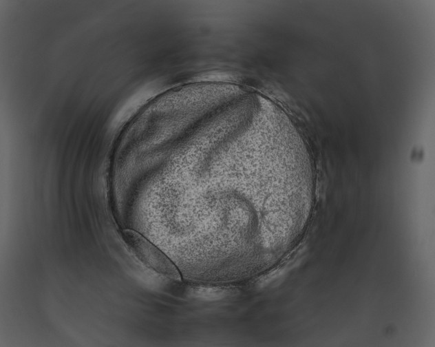 X0000092250341200710051303