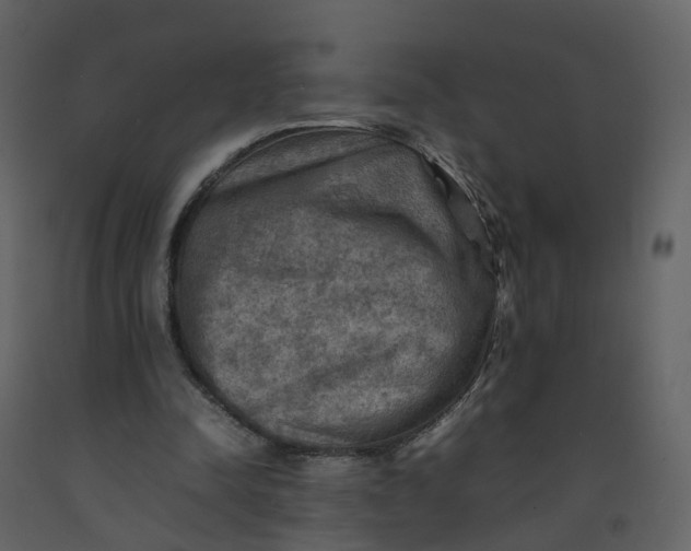 X0000092250342200710051303