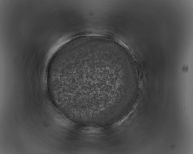 X0000092250343200710051303