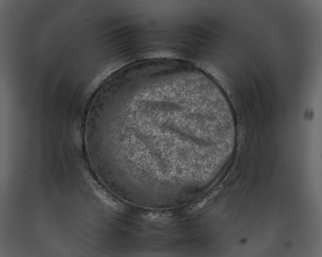 X0000092250345200710051303