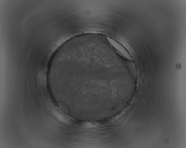 X0000092250346200710051303