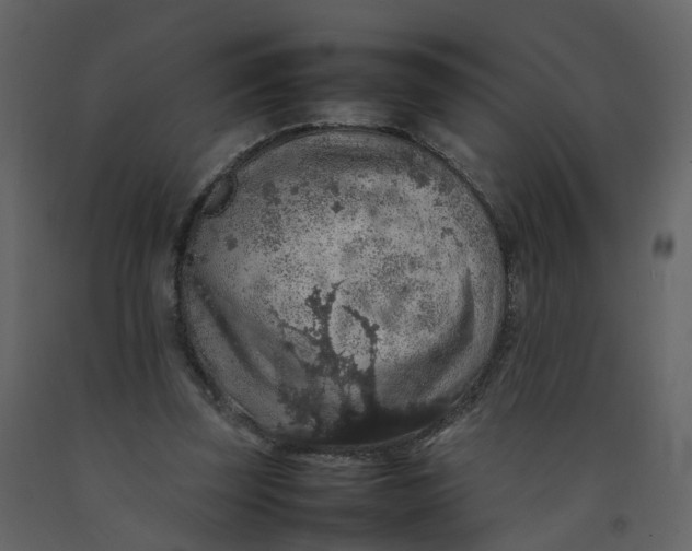 X0000092250347200710051303