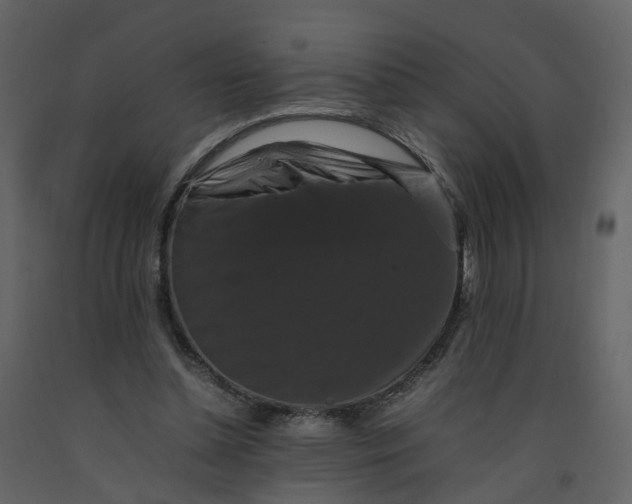 X0000092250348200710051303