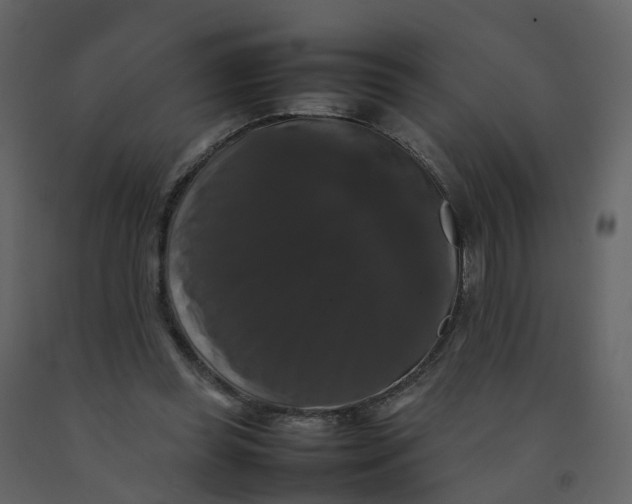 X0000092250349200710051303