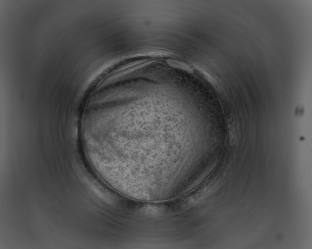 X0000092250350200710051303