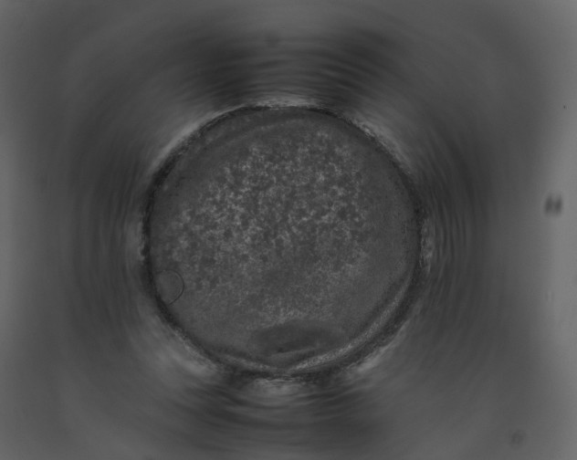 X0000092250351200710051303